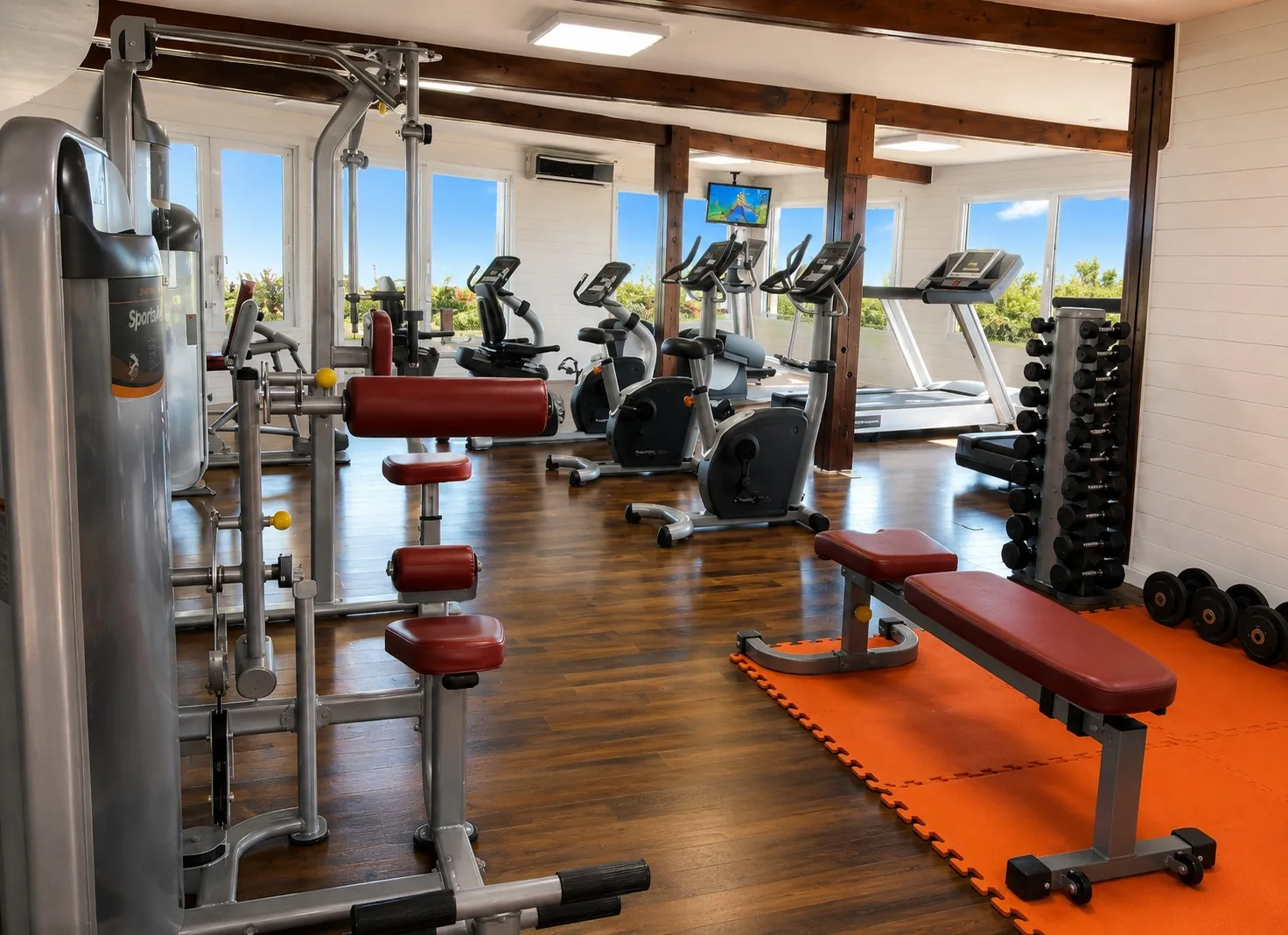 Gimnasio